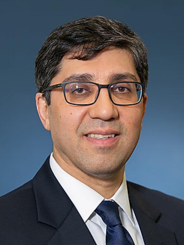 Dr. Hamzei-Sichani